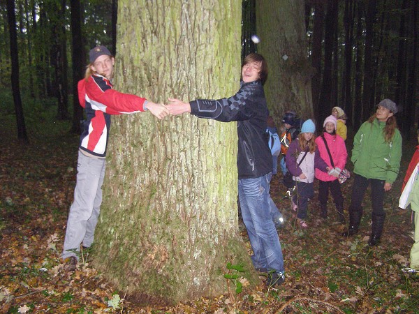 Den stromů